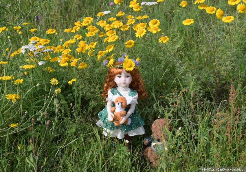 Летнее путешествие Дороти и Крекера в Старицу