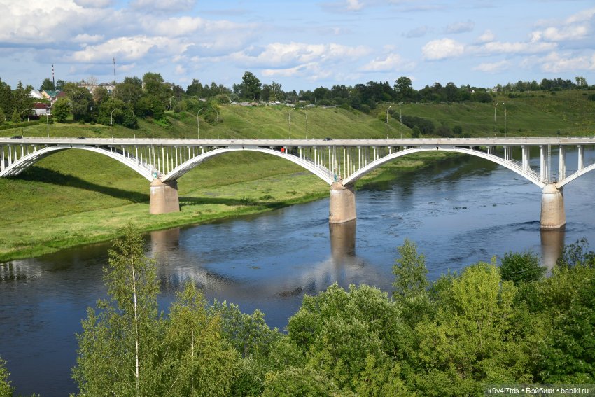 Летнее путешествие Дороти и Крекера в Старицу