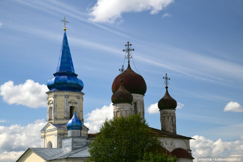 Летнее путешествие Дороти и Крекера в Старицу