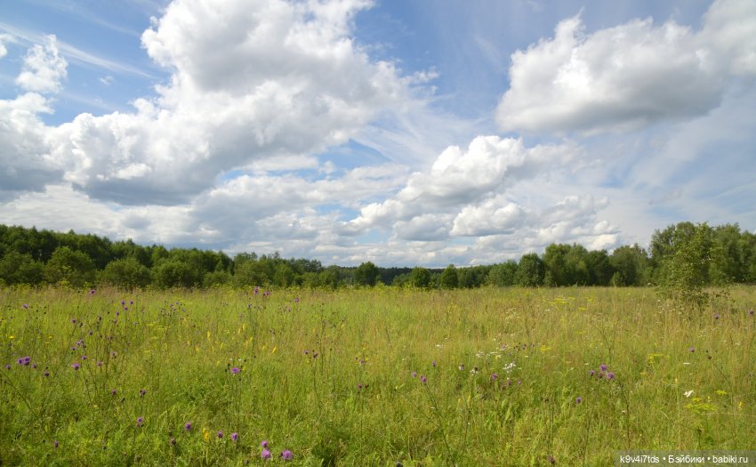 Летнее путешествие Дороти и Крекера в Старицу