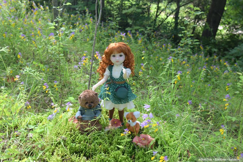 Летнее путешествие Дороти и Крекера в Старицу