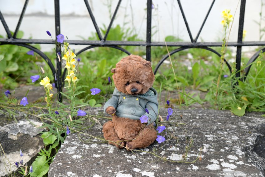 Летнее путешествие Дороти и Крекера в Старицу