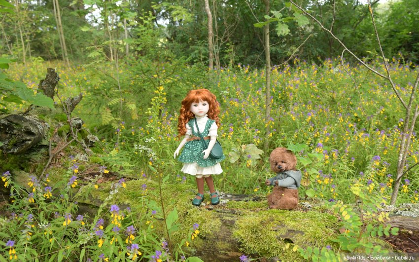 Летнее путешествие Дороти и Крекера в Старицу