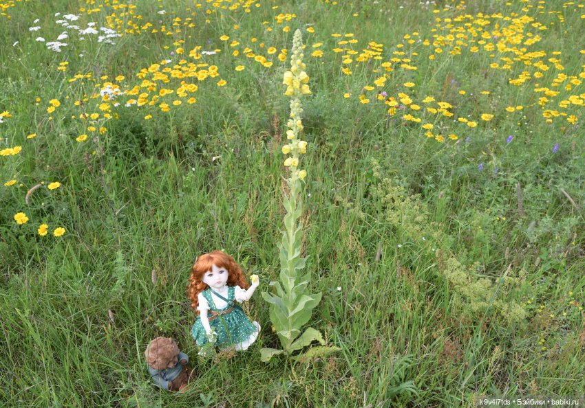 Летнее путешествие Дороти и Крекера в Старицу