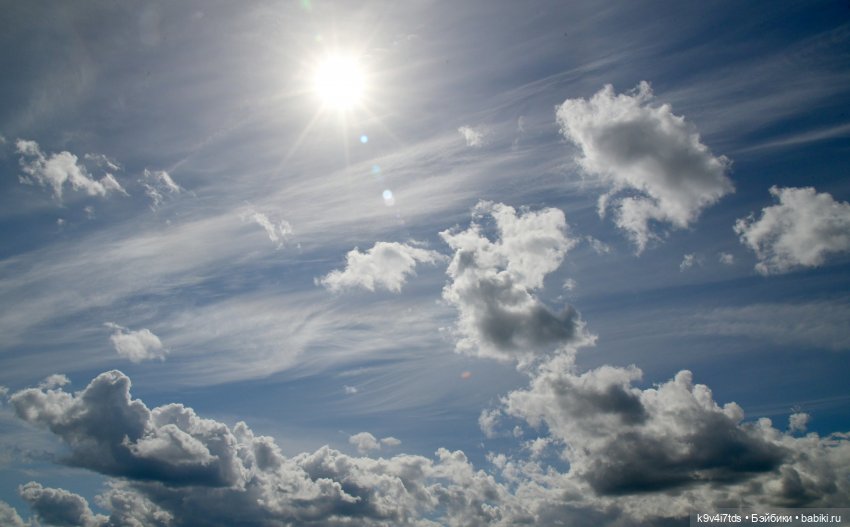 Летнее путешествие Дороти и Крекера в Старицу