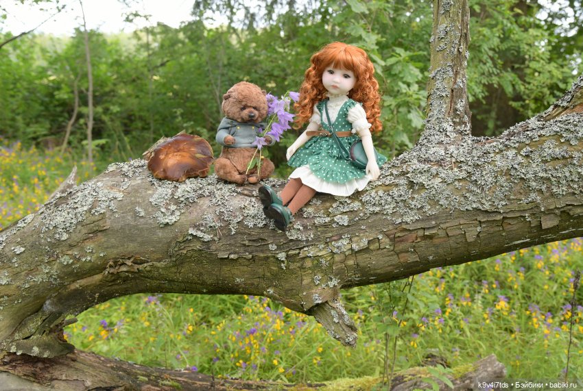 Летнее путешествие Дороти и Крекера в Старицу