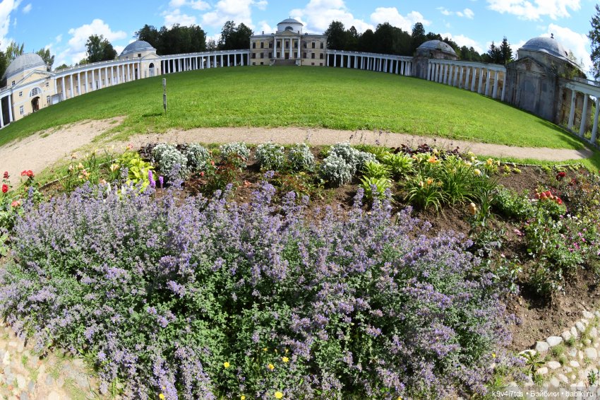 Раёк "рыбьим глазом" — Куклы Meadow dolls (Медовушки): BJD (БЖД)