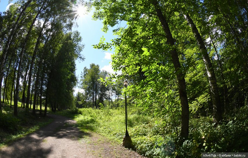 Раёк "рыбьим глазом" — Куклы Meadow dolls (Медовушки): BJD (БЖД) (фото 2)