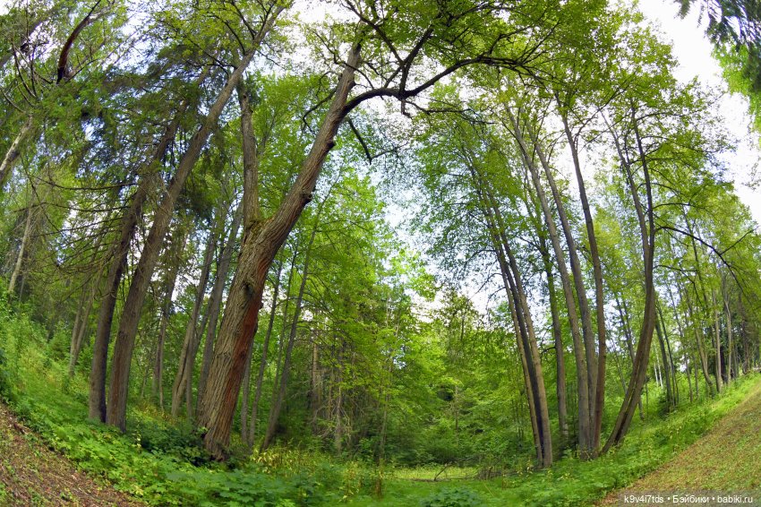 Усадьба Знаменское-Раёк, прогулка по парку