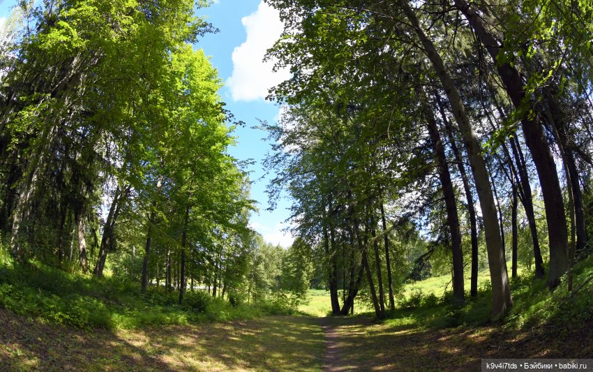 Усадьба Знаменское-Раёк, прогулка по парку