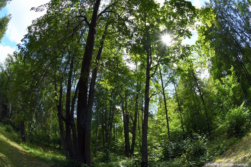 Усадьба Знаменское-Раёк, прогулка по парку
