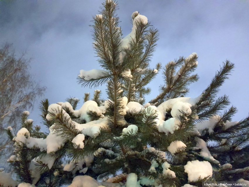 Рождественская ярмарка в Твери, 2023 год (фото 2)