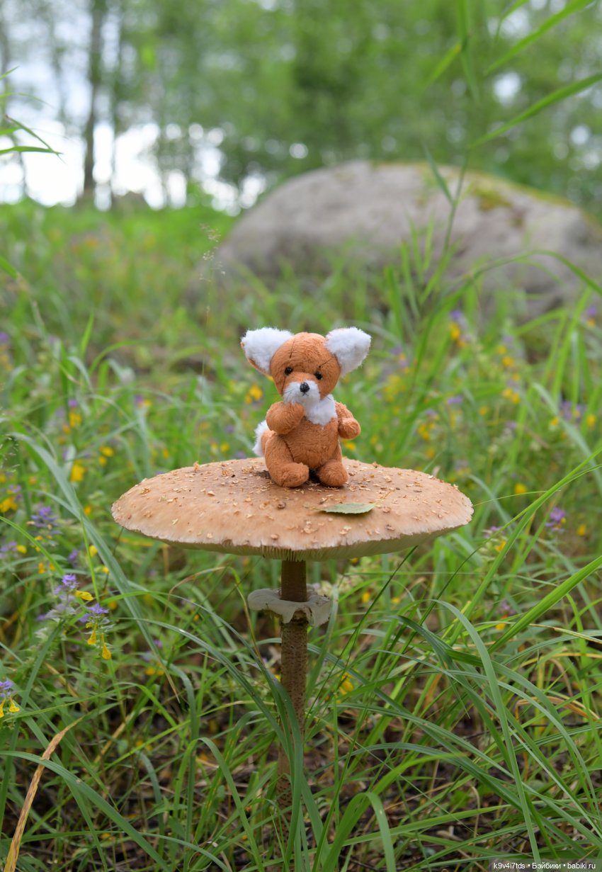 Саша в "Саду камней" — Куклы Sasha Morgenthaler (Саша Моргенталер): Trendon (фото 7)