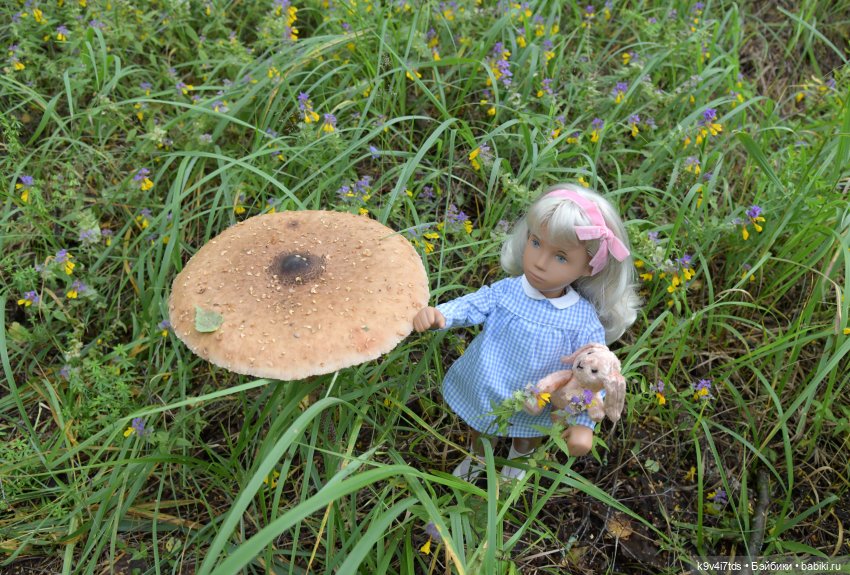 Саша в "Саду камней" — Куклы Sasha Morgenthaler (Саша Моргенталер): Trendon (фото 8)