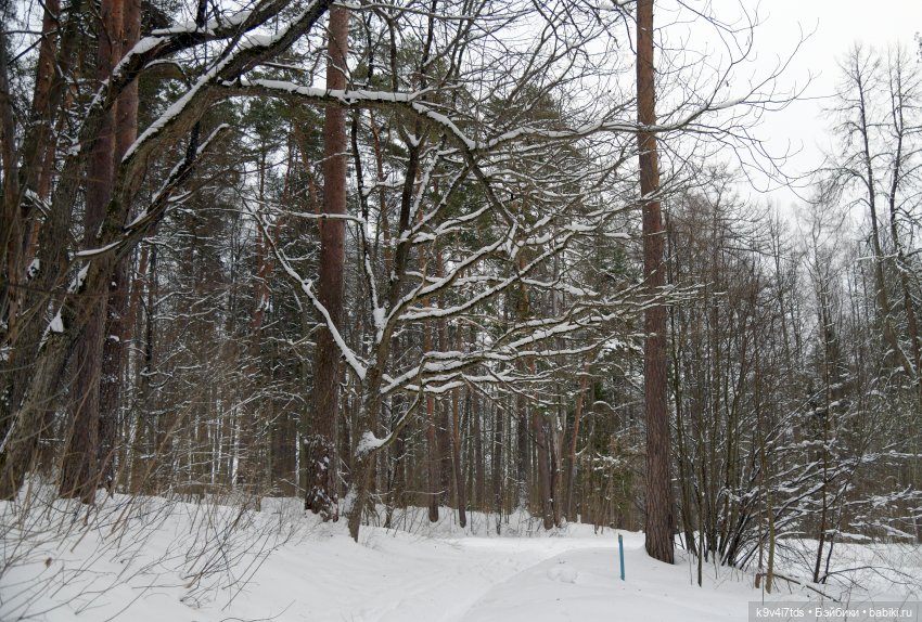 Прогулка в Усадьбе "Митино" (Тверская область) | Бэйбики Прогулка в Усадьбе "Митино" (Тверская область)