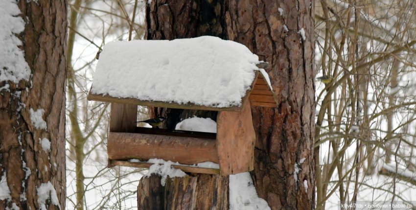 Прогулка в Усадьбе "Митино" (Тверская область) | Бэйбики Прогулка в Усадьбе "Митино" (Тверская область)