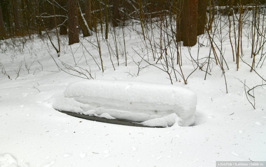 Прогулка в Усадьбе "Митино" (Тверская область) | Бэйбики Прогулка в Усадьбе "Митино" (Тверская область)