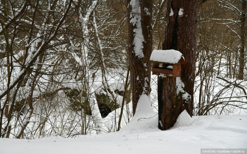 Прогулка в Усадьбе "Митино" (Тверская область) | Бэйбики Прогулка в Усадьбе "Митино" (Тверская область)