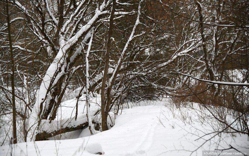 Прогулка в Усадьбе "Митино" (Тверская область) | Бэйбики Прогулка в Усадьбе "Митино" (Тверская область)