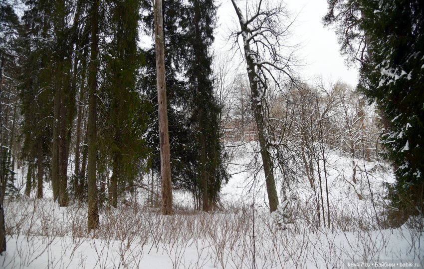 Прогулка в Усадьбе "Митино" (Тверская область) | Бэйбики Прогулка в Усадьбе "Митино" (Тверская область)