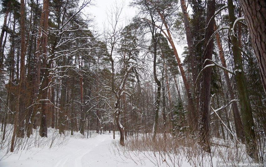 Прогулка в Усадьбе "Митино" (Тверская область) | Бэйбики Прогулка в Усадьбе "Митино" (Тверская область)