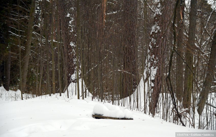 Прогулка в Усадьбе "Митино" (Тверская область) | Бэйбики Прогулка в Усадьбе "Митино" (Тверская область)