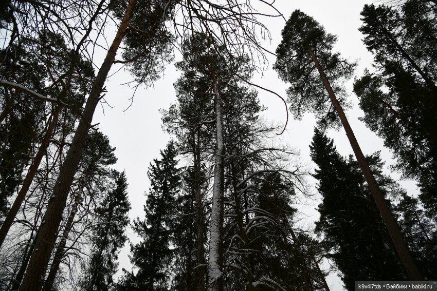 Прогулка в Усадьбе "Митино" (Тверская область) | Бэйбики Прогулка в Усадьбе "Митино" (Тверская область)