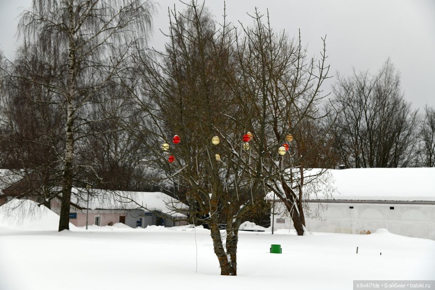 Прогулка в Усадьбе "Митино" (Тверская область) | Бэйбики Прогулка в Усадьбе "Митино" (Тверская область) (фото 3)