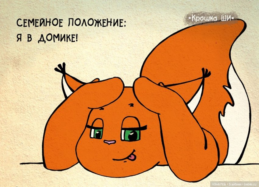 Крошка Ши — Интересное и необычное: фотоподборки