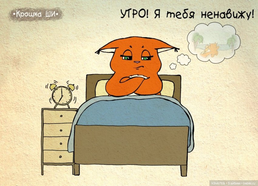 Крошка Ши — Интересное и необычное: фотоподборки