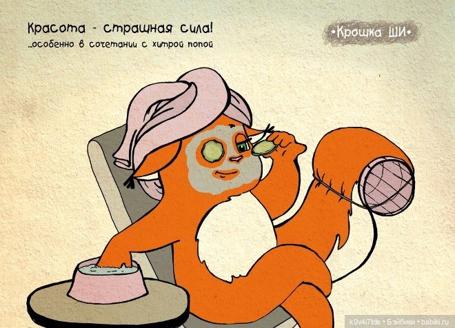 Крошка Ши — Интересное и необычное: фотоподборки