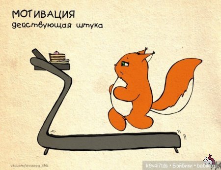 Крошка Ши — Интересное и необычное: фотоподборки