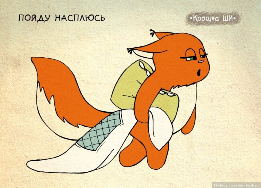 Крошка Ши — Интересное и необычное: фотоподборки