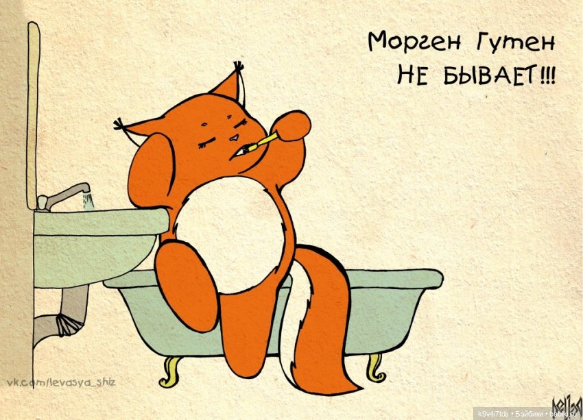 Крошка Ши — Интересное и необычное: фотоподборки