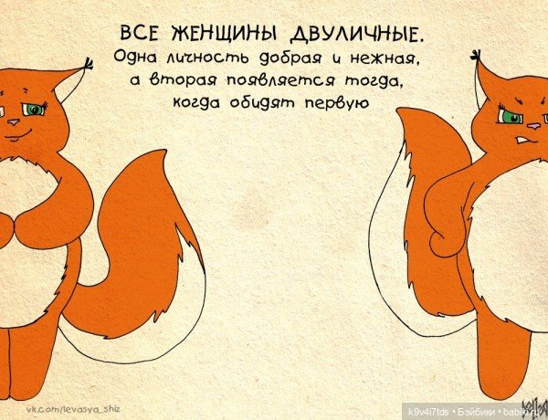 Крошка Ши — Интересное и необычное: фотоподборки