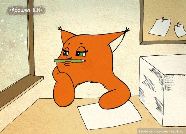 Крошка Ши — Интересное и необычное: фотоподборки