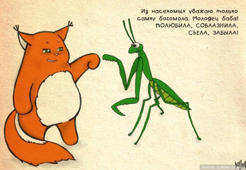 Крошка Ши — Интересное и необычное: фотоподборки (фото 8)