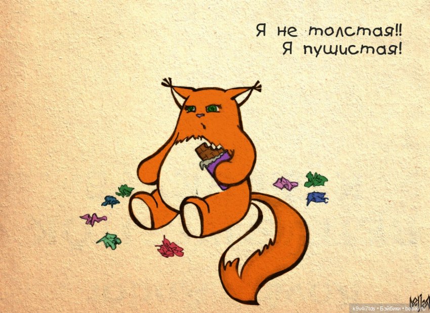 Крошка Ши — Интересное и необычное: фотоподборки