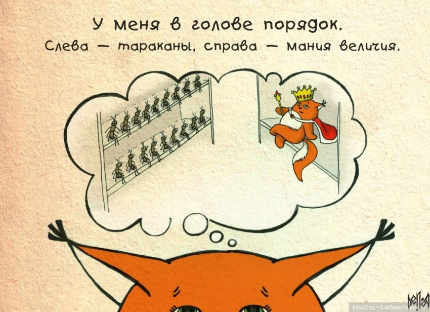 Крошка Ши — Интересное и необычное: фотоподборки (фото 9)