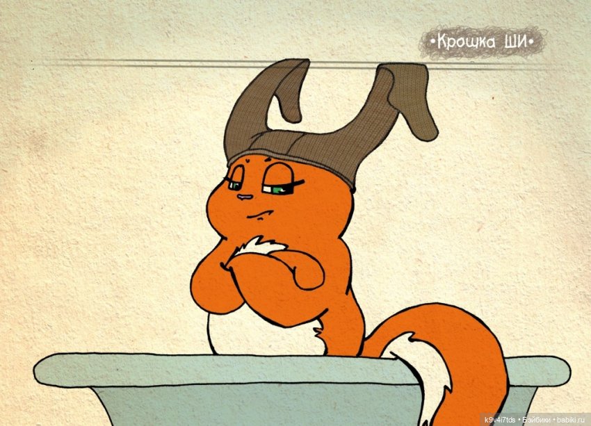 Крошка Ши — Интересное и необычное: фотоподборки