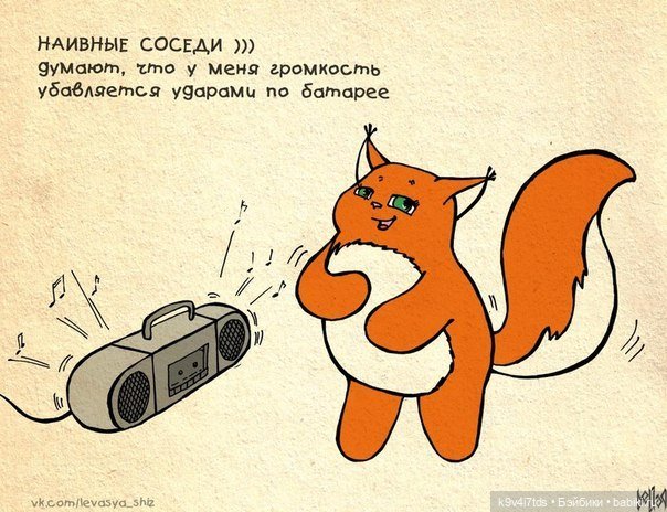 Крошка Ши — Интересное и необычное: фотоподборки