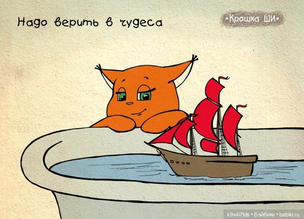 Крошка Ши — Интересное и необычное: фотоподборки