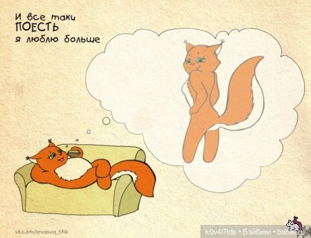 Крошка Ши — Интересное и необычное: фотоподборки