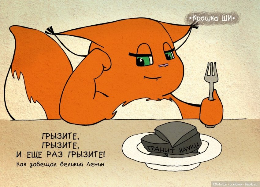 Крошка Ши — Интересное и необычное: фотоподборки