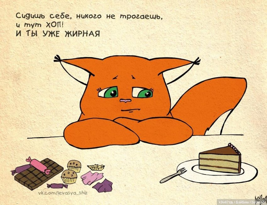 Крошка Ши — Интересное и необычное: фотоподборки (фото 10)