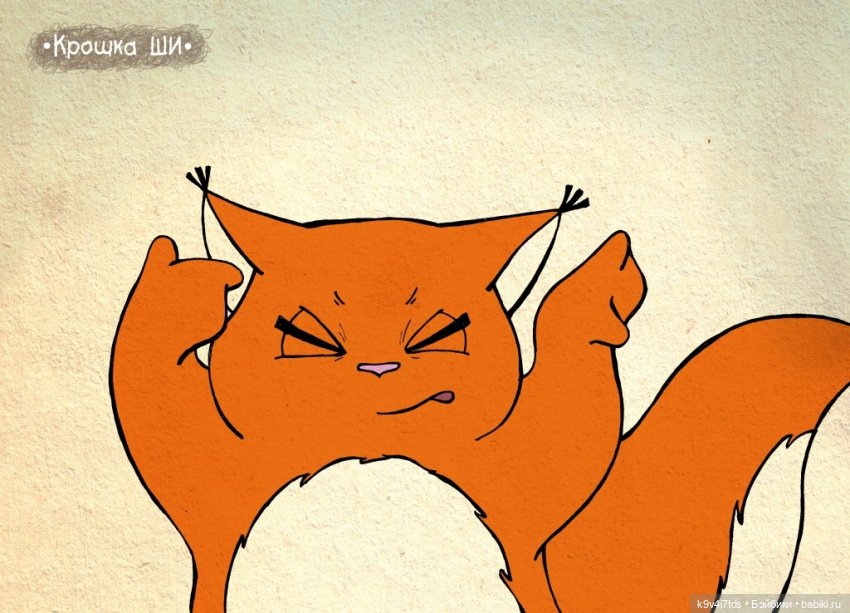 Крошка Ши — Интересное и необычное: фотоподборки