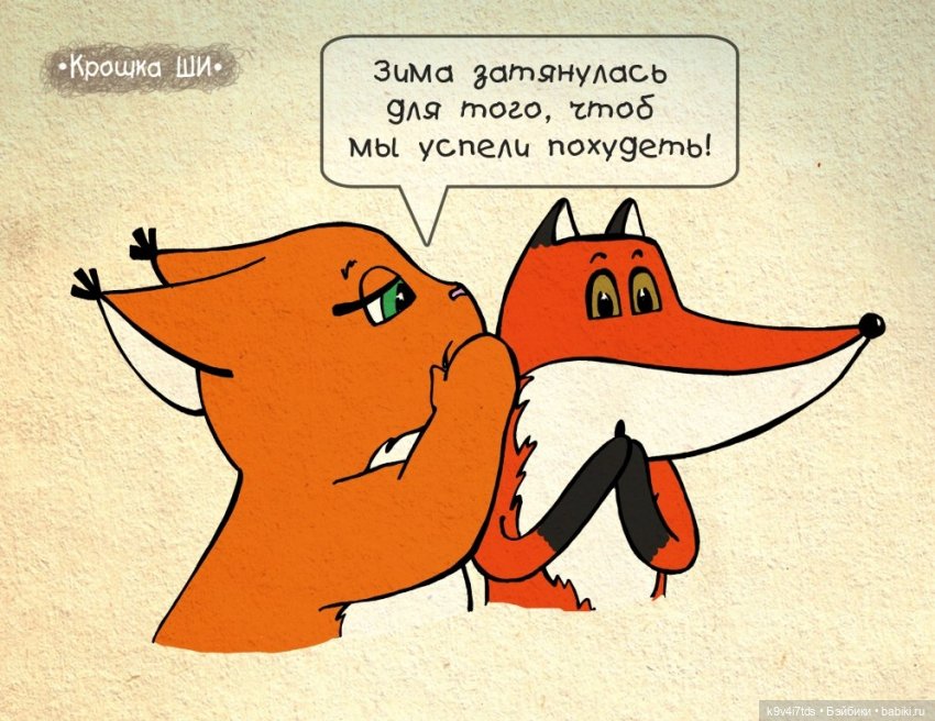 Крошка Ши — Интересное и необычное: фотоподборки (фото 3)