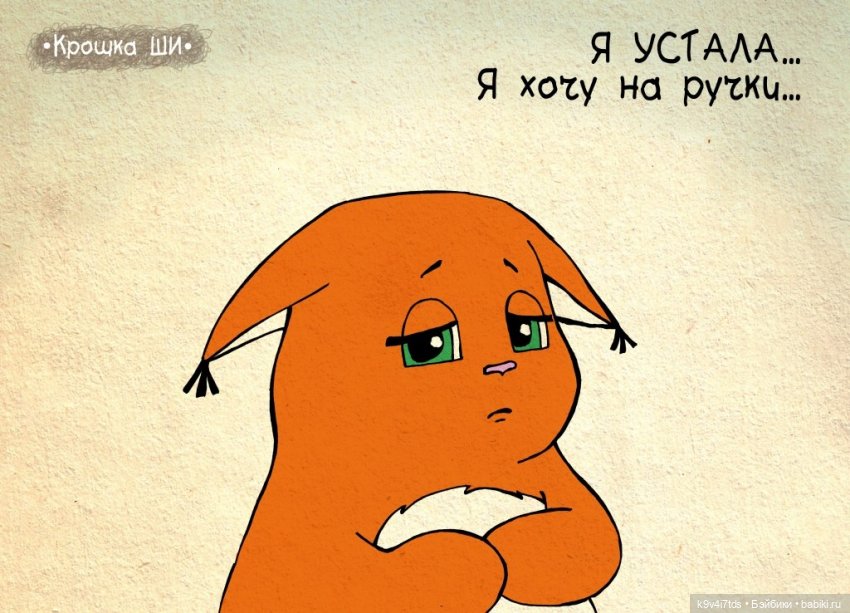 Крошка Ши — Интересное и необычное: фотоподборки (фото 5)