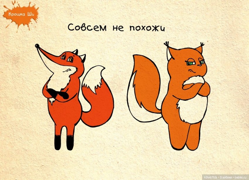 Крошка Ши — Интересное и необычное: фотоподборки