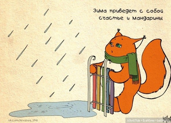 Крошка Ши — Интересное и необычное: фотоподборки